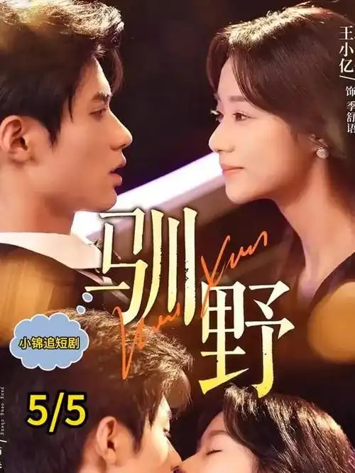 无声证词热播电视剧全集手机在线观看